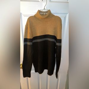 Express Turtle Neck Sweater.